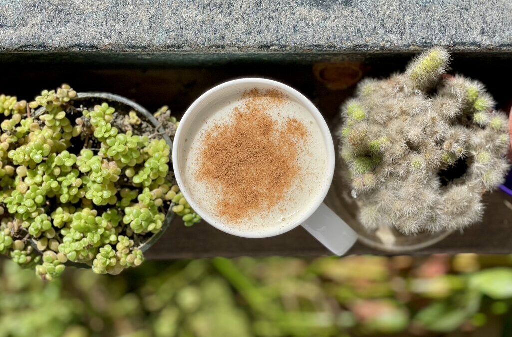 /肉桂蘋果豆乳/ 暖身又富含膳食纖維的冬日飲品